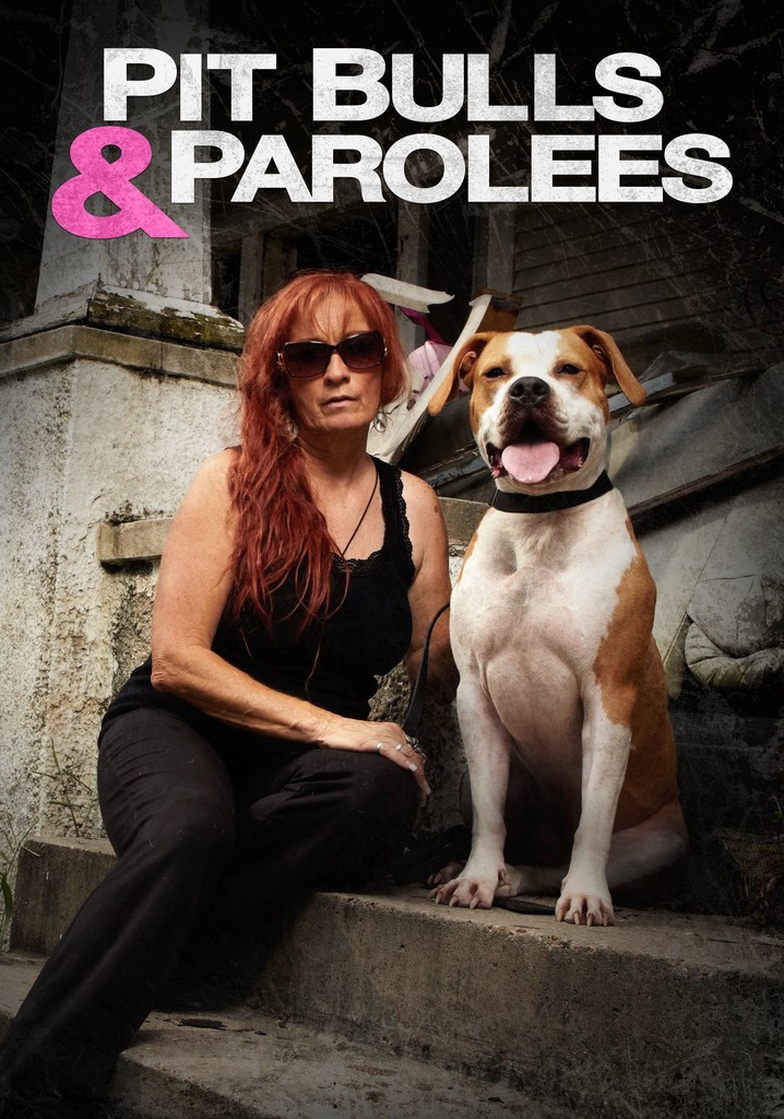 Pit Bulls and Parolees Season 1 episodes streaming online